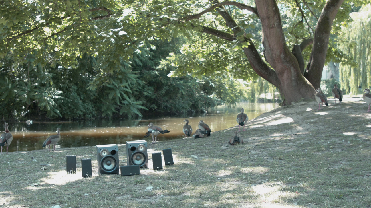 Several music speakers in front of a lake with ducks and trees around